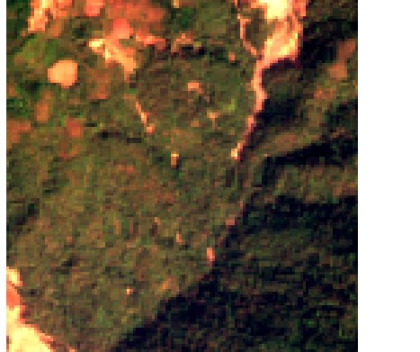 Sentinel-2 satellite view of a Himalayan slope with visible landslide scars